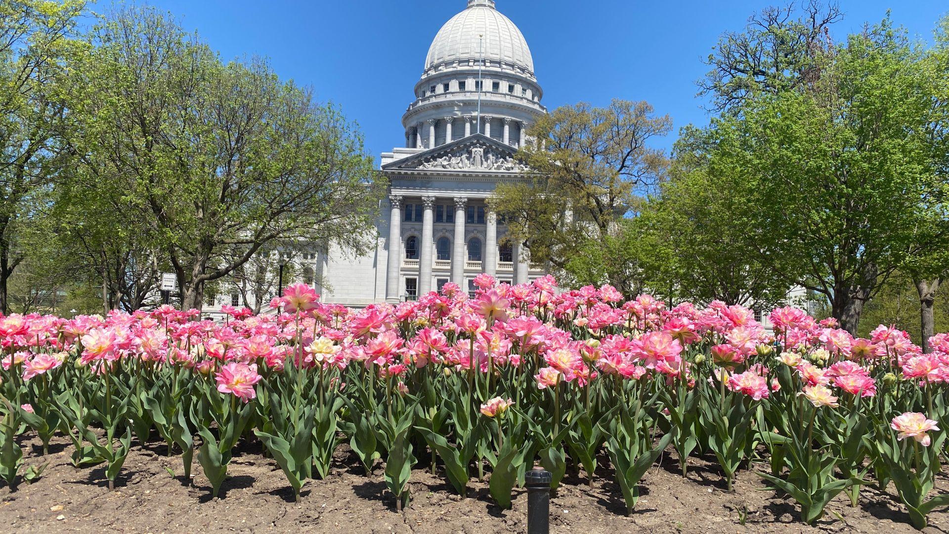 Lawmakers introduce anti-SLAPP legislation